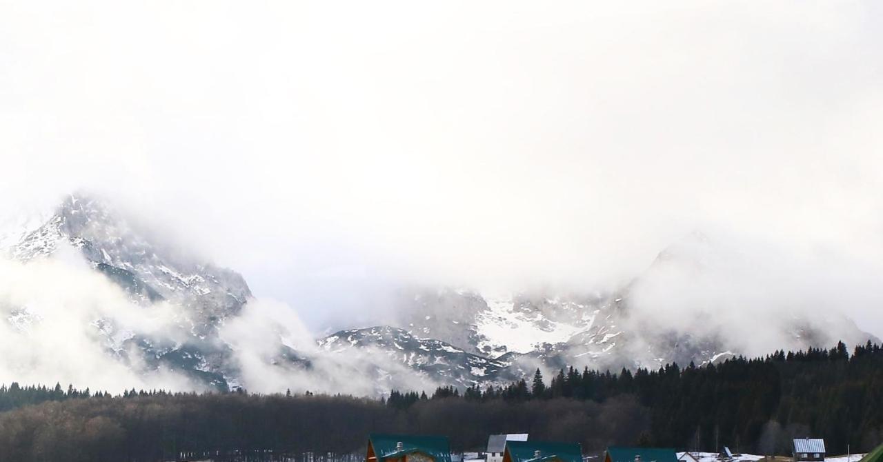 Wolforest Zabljak  Luaran gambar